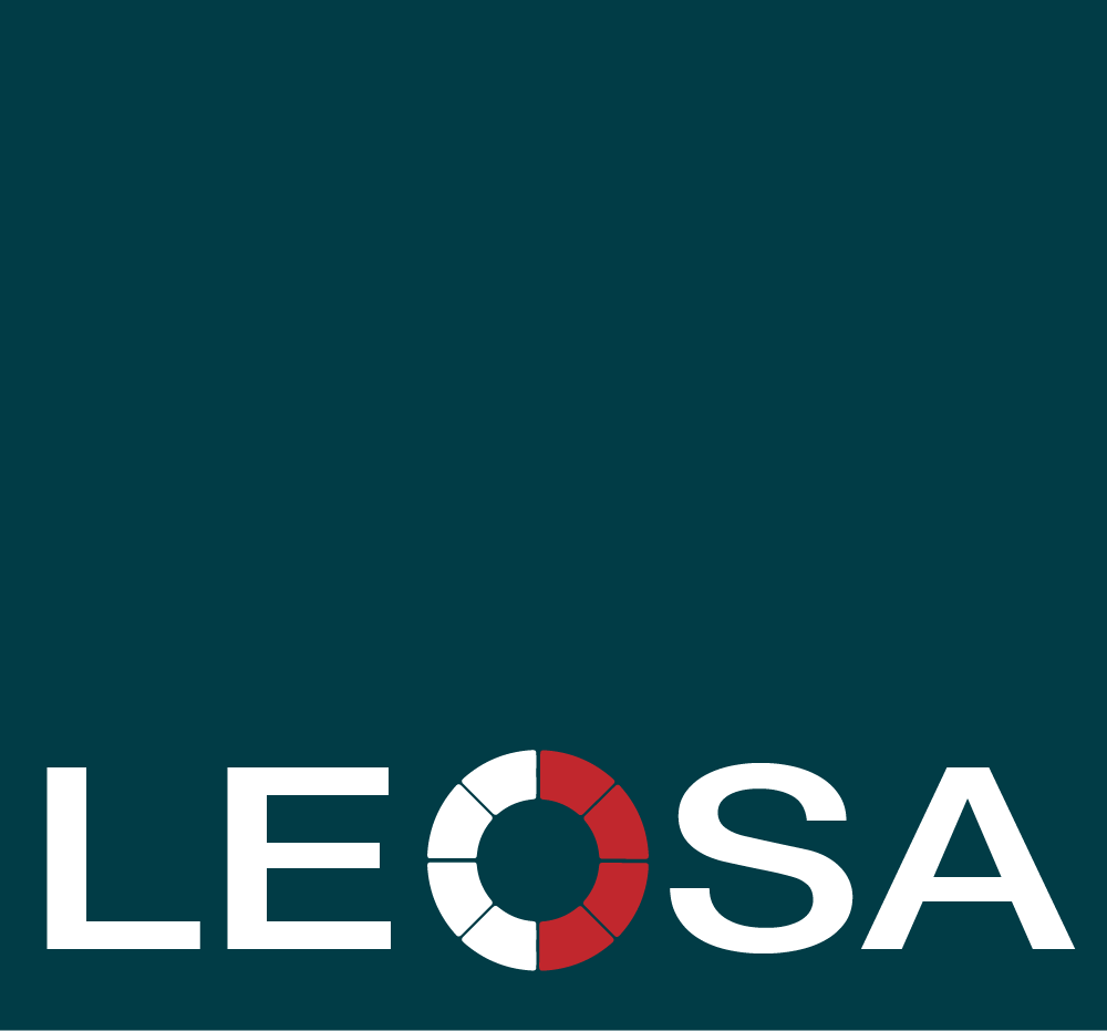 Logo LEOSA It-services